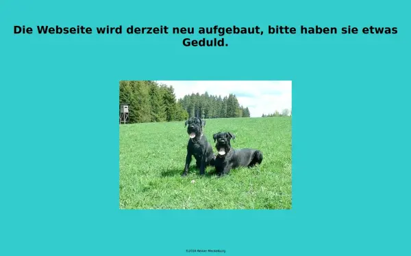meckelburg.de