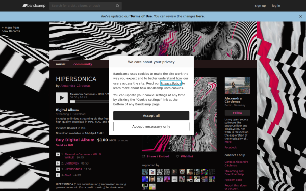 tiemposdelruido.bandcamp.com