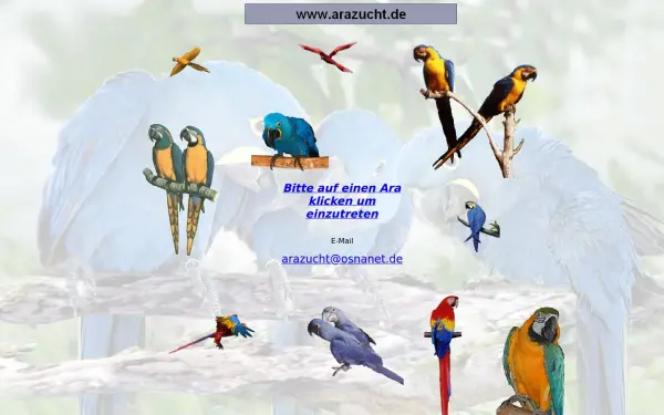 arazucht.de