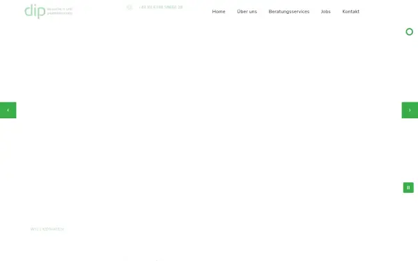 dip-consulting.de