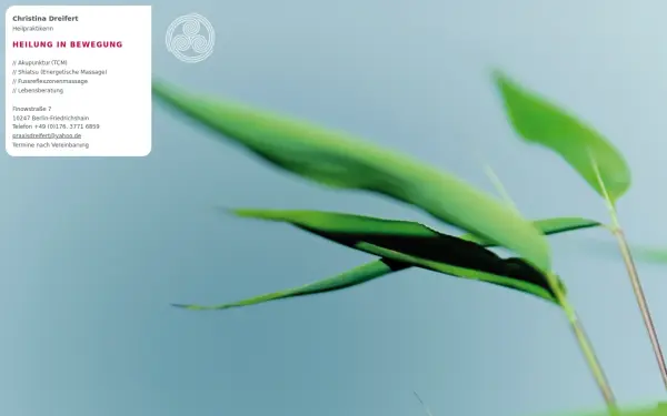 heilung-in-bewegung.de