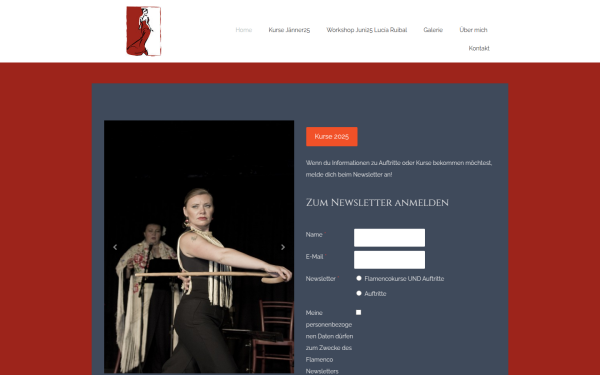 www.flamenco-linz.at