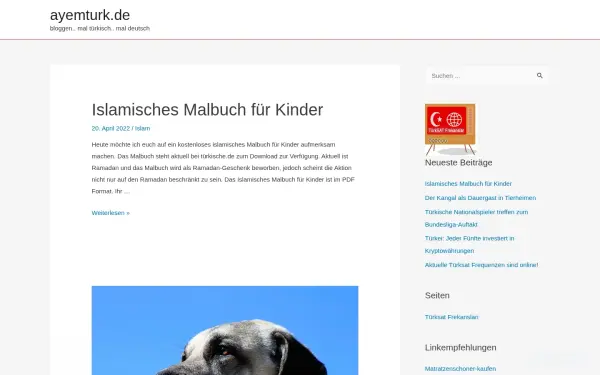 www.ayemturk.de