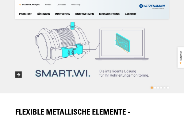 www.witzenmann.de
