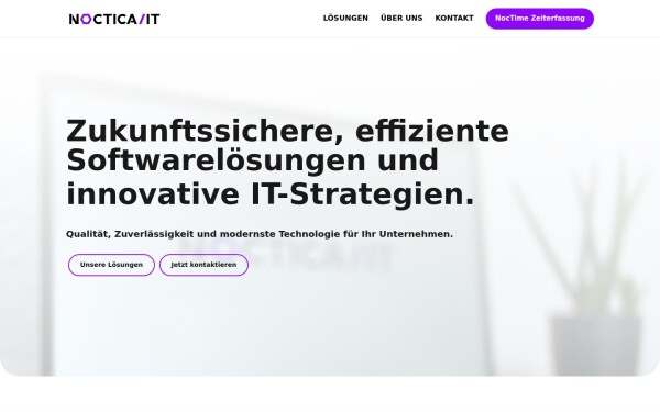 www.noctica-it.de