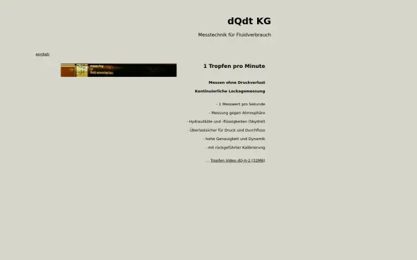 dqdt.de