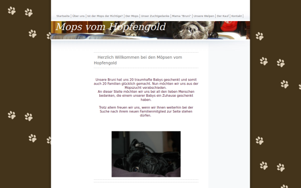 www.mopsvomhopfengold.de