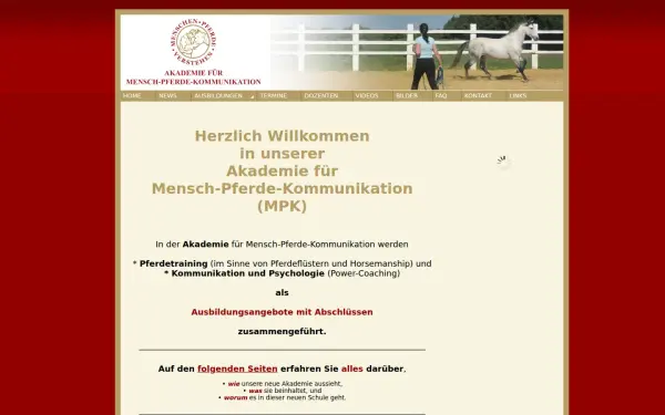 heinzwelz-akademie.de