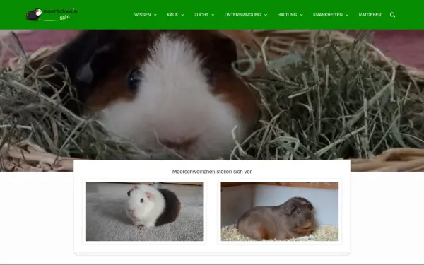 meerschwein-sein.de