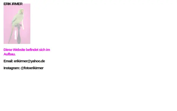 www.erikirmer.de
