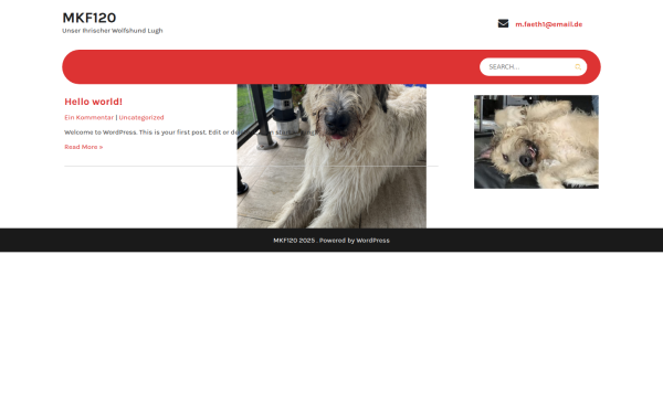 mkf-edv-service.de