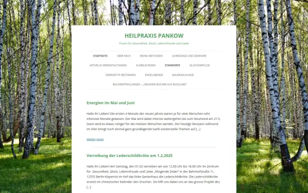 heilpraxis-pankow.de