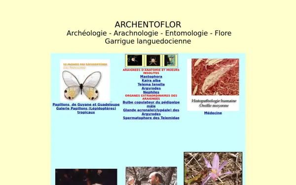 www.archentoflor.com
