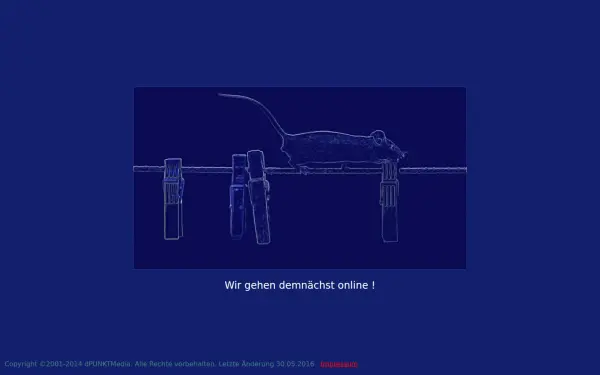 dpunktmedia.de