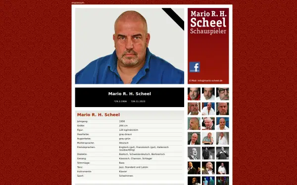 mario-scheel.de