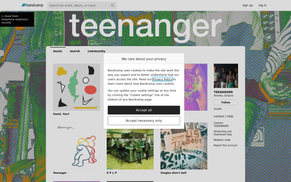 teenanger.bandcamp.com