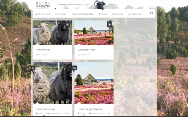 heide-magazin.de