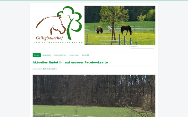 gilligbauer.de
