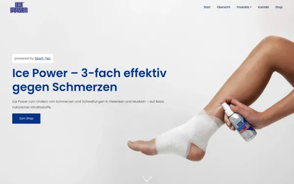 www.ice-power.de