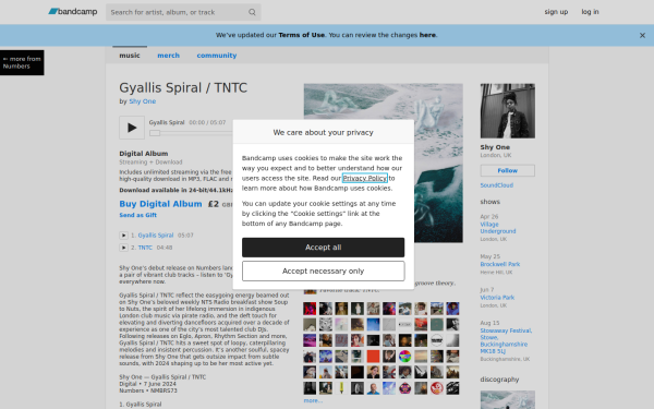 shyone.bandcamp.com