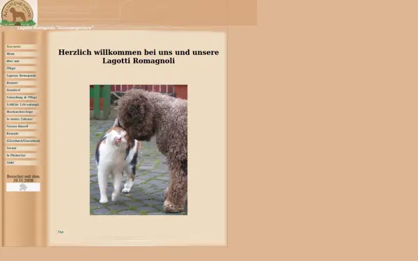 accompagnatore.de