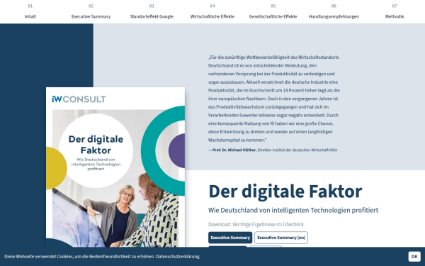 der-digitale-faktor.de