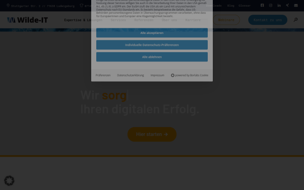www.wilde-it.com