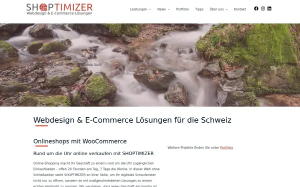 www.shoptimizer.ch