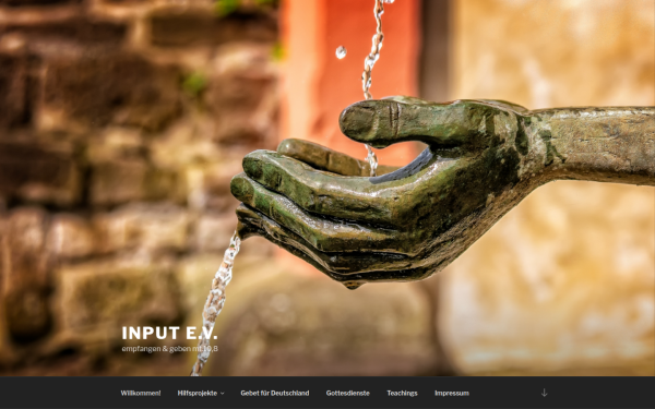 get-input.de