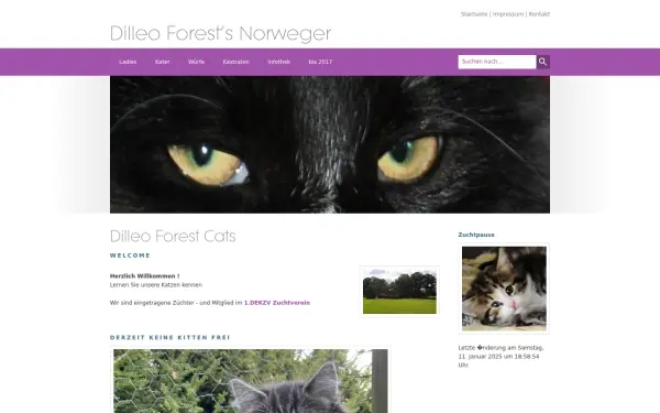 dilleo-forest-cats.de