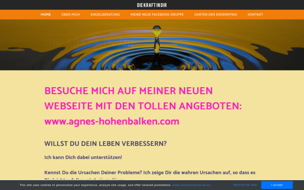 www.diekraftindir.at