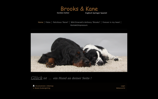 www.mydogs-4-life.de