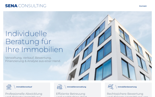 sena-consulting.de