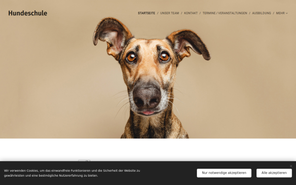 www.svoe-markgrafneusiedl.at