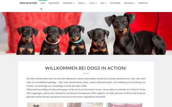 www.dogs-in-action.de