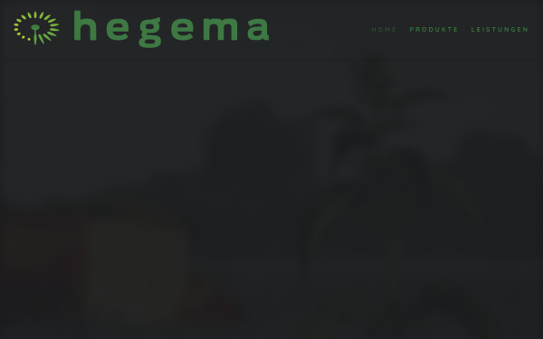 hegema.de
