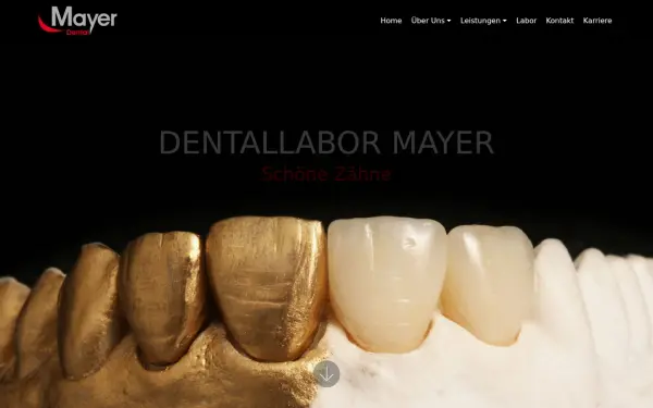www.mayer-dental.de