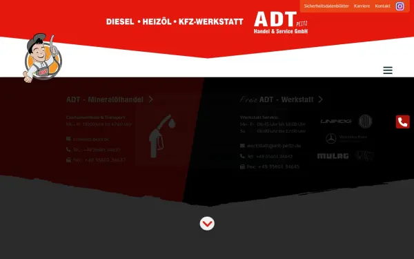 adt-peitz.de