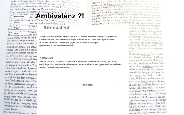 ambivalenz.de