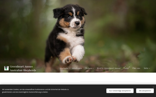 www.greenheart-aussee-aussies.at