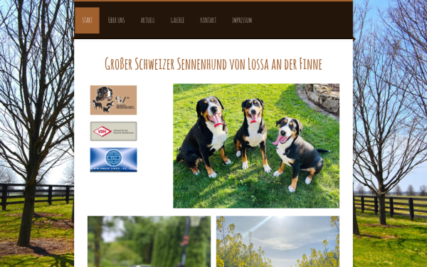 www.gss-von-lossa.de