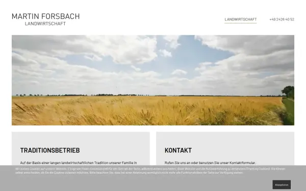 martin-forsbach.de