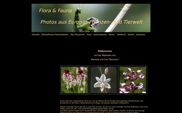 www.mc-tessmann.de
