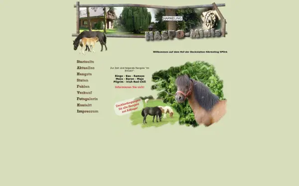 haspo-minis.de