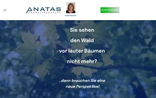 anatas.de
