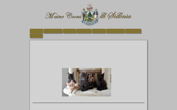 www.mainecoons.at