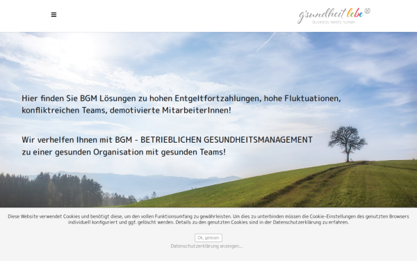 www.gesundheitsmanagerin.at