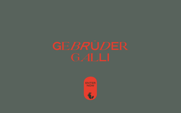 www.gebrueder-galli.at