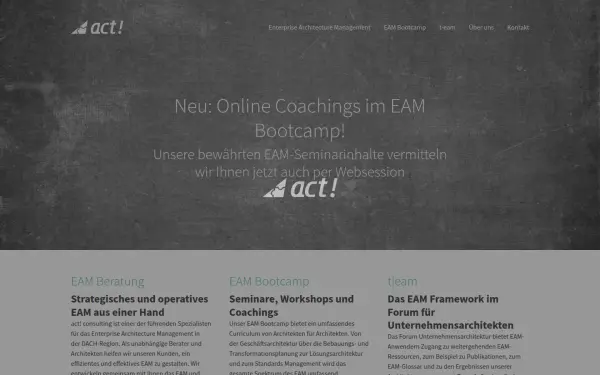 act-consulting.de