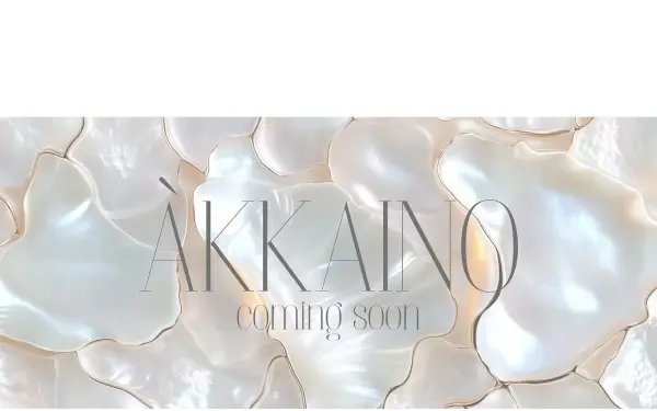 www.akkaino.com